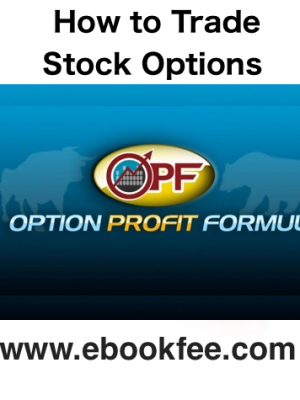 Travis Wilkerson How to Trade Stock Options Profiting in Up and Down Markets